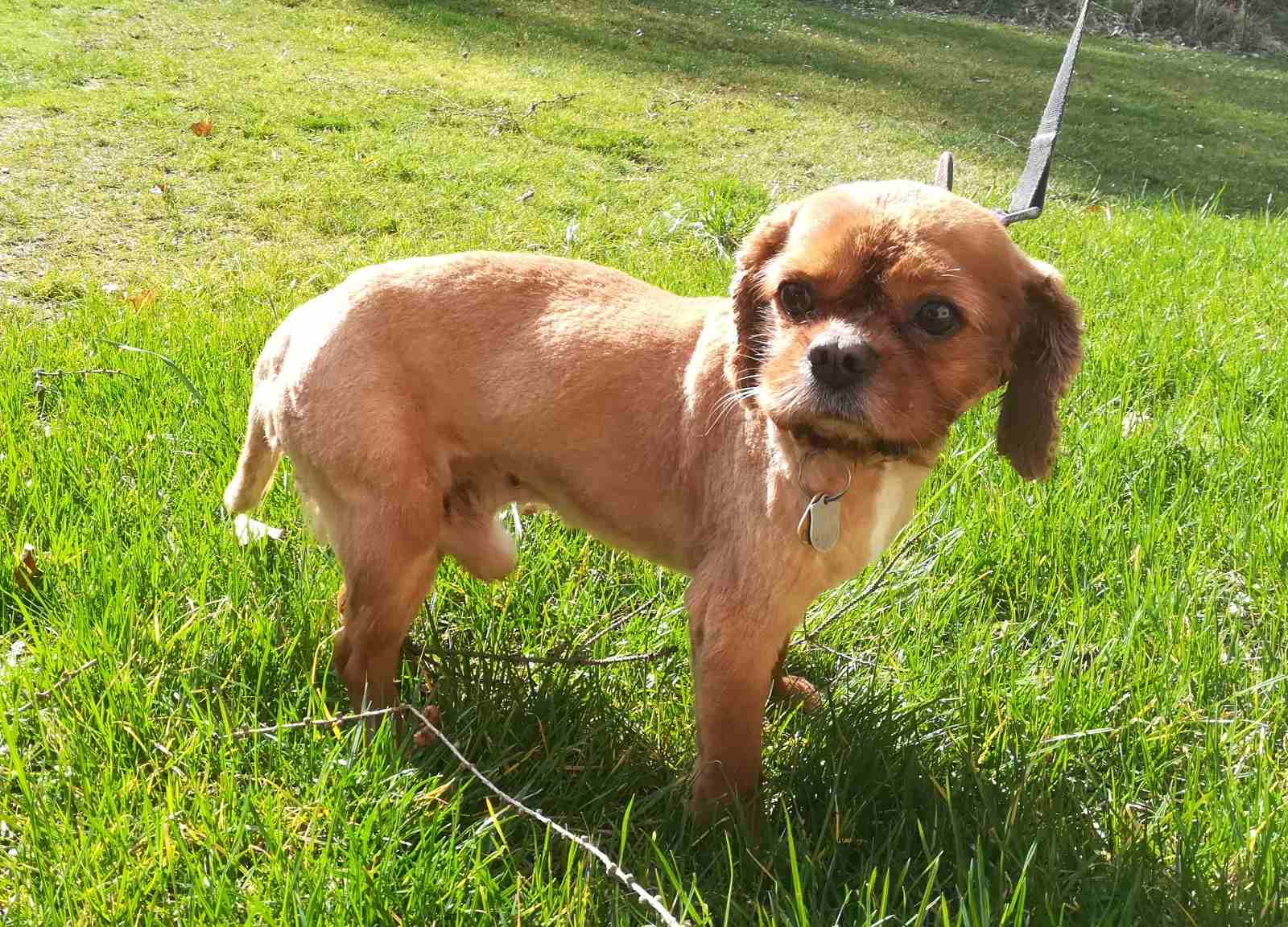 IMG-eb07e2e13d7c1fb9b5f0dcffe27591af-V.jfif