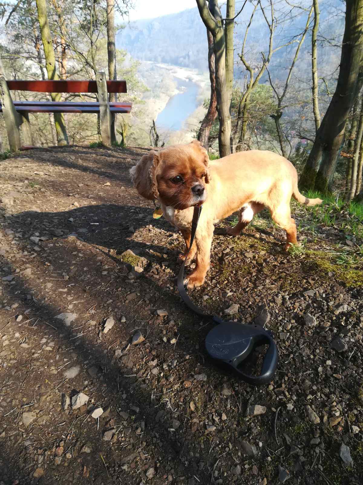 IMG-b35d273aae1fa516db0d691f0c98cc06-V.jfif